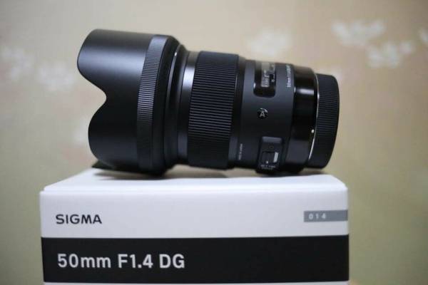 m231435581.1