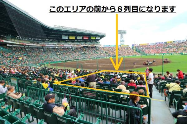 8月31日 甲子園 阪神vs 巨人 18時開始 グリーンシート上段 通路側2席 2