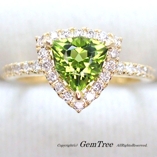 p561500062.1
