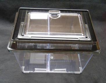 移動可能 仕切り板付き飼育ケース(Ｍ中型)６個セット