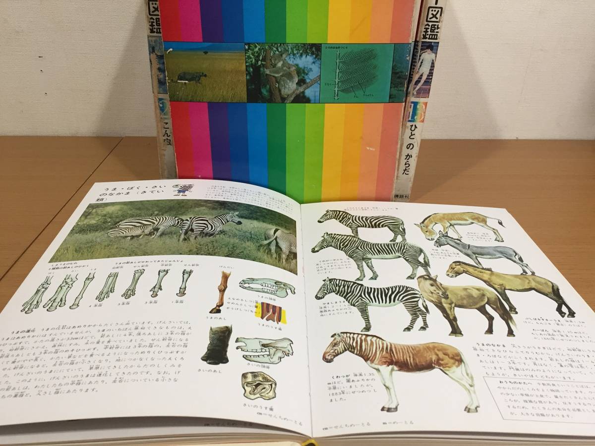 プログラム式 こどもカラー図鑑 全13巻セット 【公式通販】