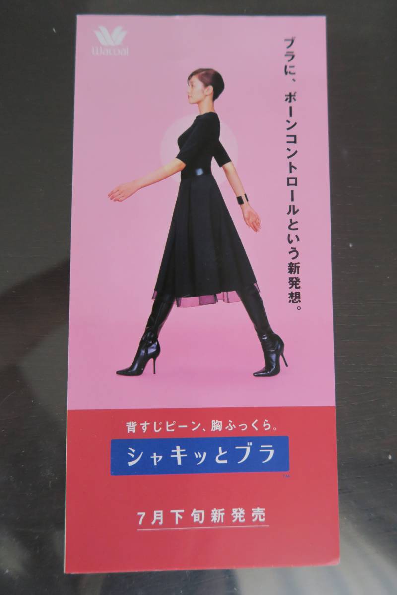 青山倫子 ランジェリーカタログ(井上 訓子名義)