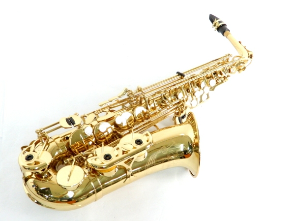 o173221509.2
