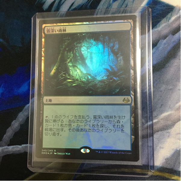 霧深い雨林 MTG 日本語 Rainforest foil Foil《霧深い雨林⁄Misty |