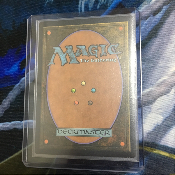 霧深い雨林 MTG 日本語 Rainforest foil Foil《霧深い雨林⁄Misty |