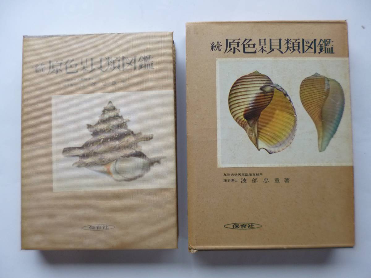 2288　続・原色日本貝類図鑑 波部忠重 著 保育社 S.41 最終出品_1