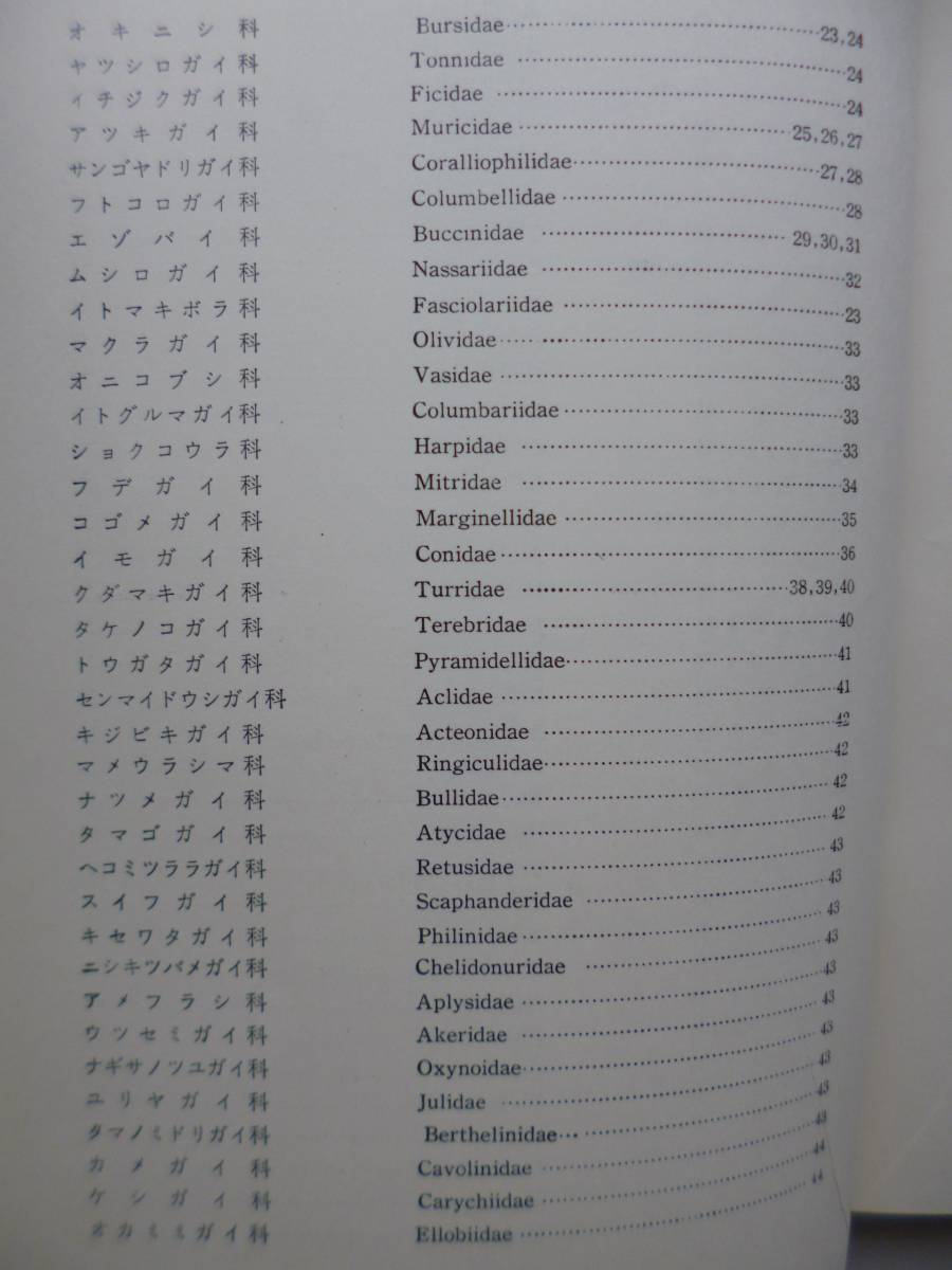 2288　続・原色日本貝類図鑑 波部忠重 著 保育社 S.41 最終出品_4