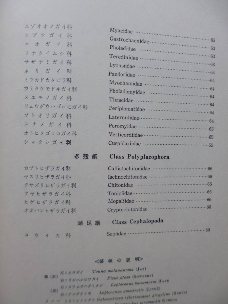 2288　続・原色日本貝類図鑑 波部忠重 著 保育社 S.41 最終出品_7