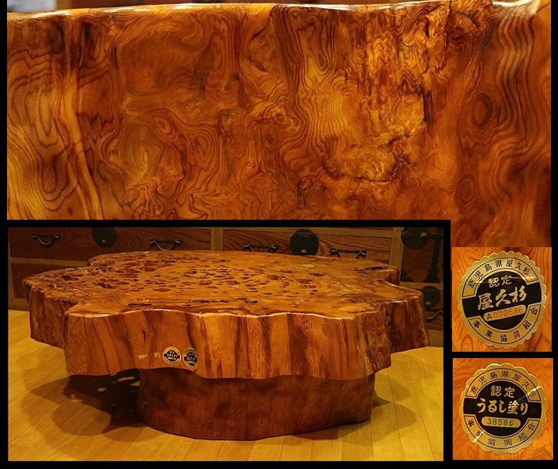 e213058324.2