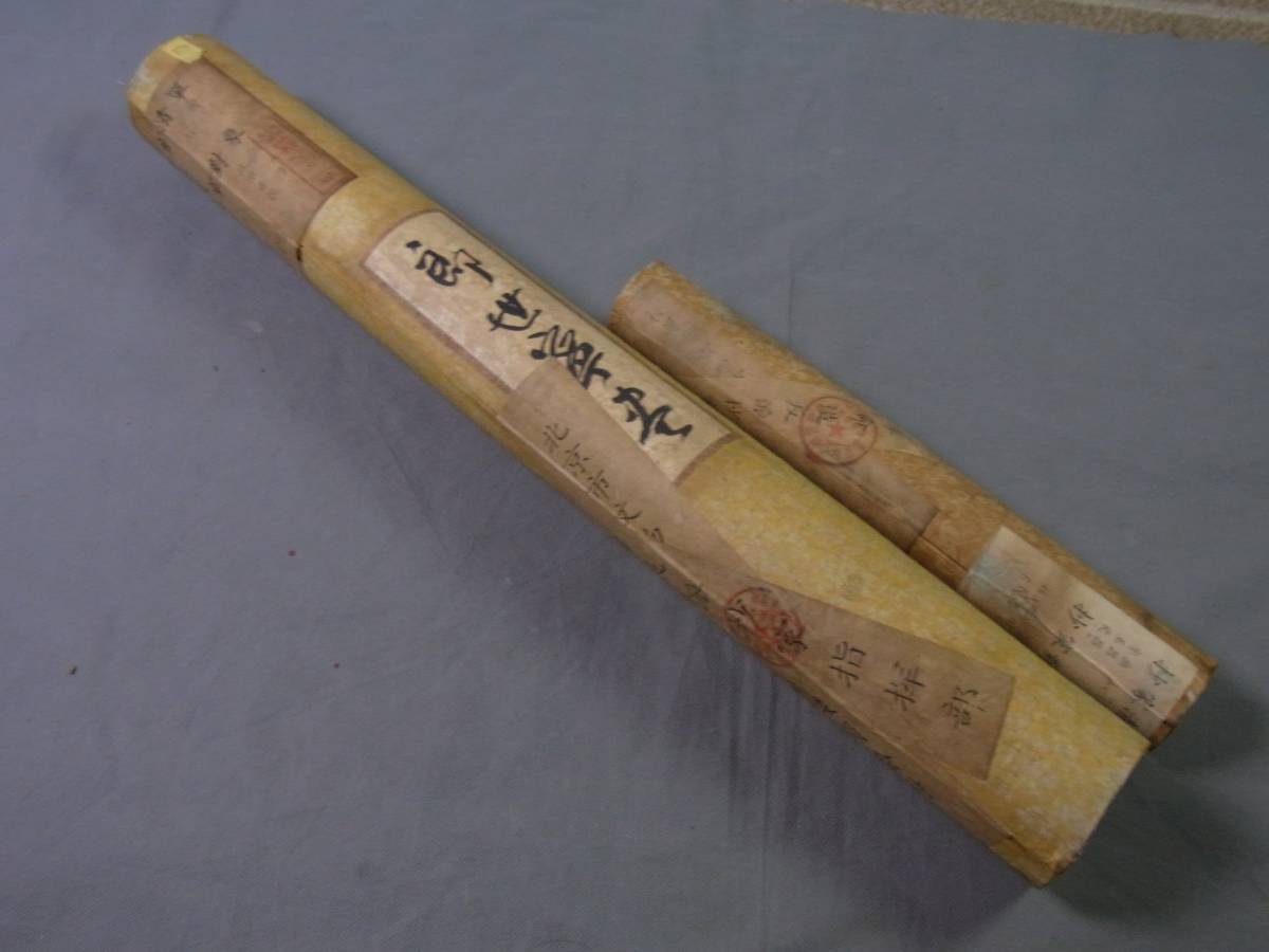 t537209759.4
