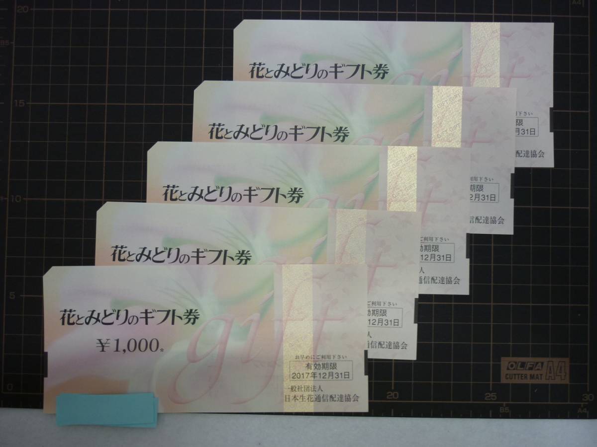 d253984758.5
