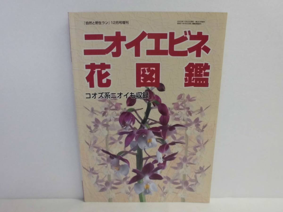 2026年最新Yahoo!オークション -自然と野生ラン(本、雑誌)の | 新版 色