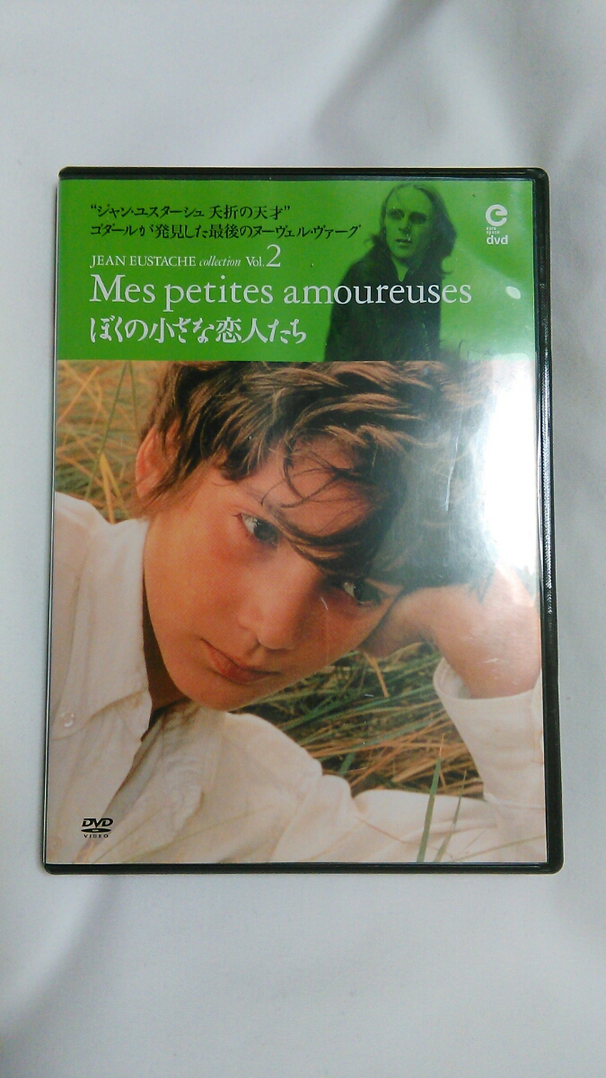 廃盤希少 ジャン・ルノワール DVD-BOX Ⅱ〈3枚組〉 楽天市場】絵画