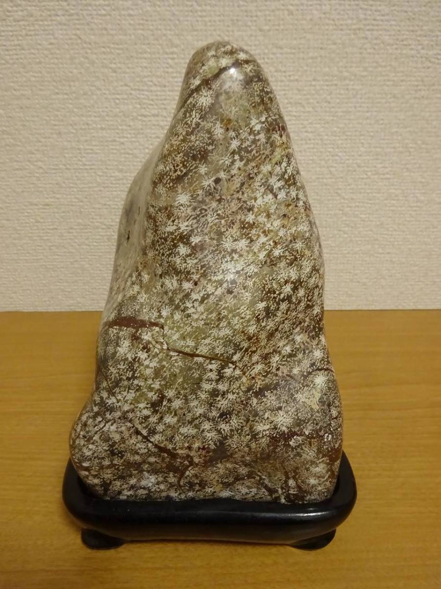 梅花石 鑑賞石 菊花石 自然石 天然石 紋石 原石 水石 盆石 孔雀石