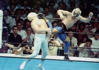プロレスブルーレイ用不織布＋新日本1982年おまけタイガー可動中&猛虎伝説2 