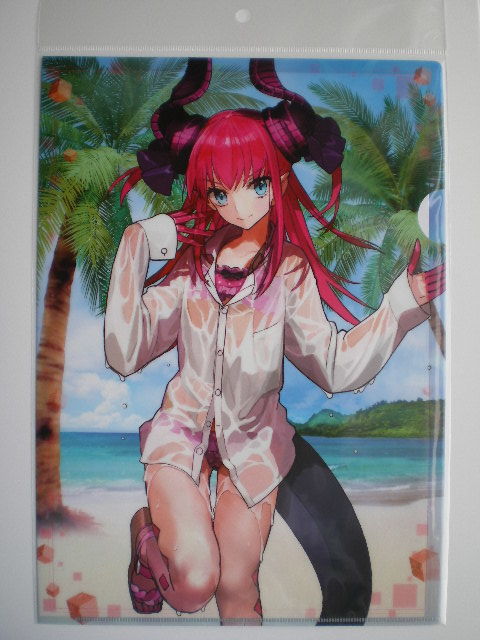 クリアファイル Fate Extella エリザベート バートリー ランサー 水着 ワダアルコ イラスト クリアファイル 売買されたオークション情報 Yahooの商品情報をアーカイブ公開 オークファン Aucfan Com
