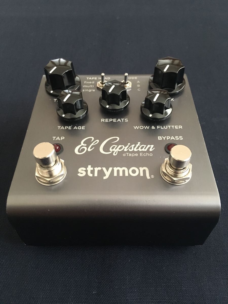 【美品】 strymon El Capistan 完動品 送料486円～ 配達時間指定可 本体のみ 即決 ストライモン エルキャスピタン テープエコー delay 良品