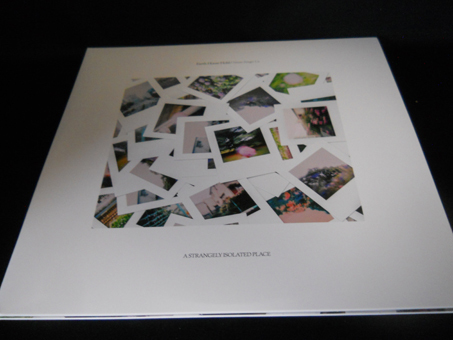 《ノイズ特集:BVDUB/2LP/新譜》EARTH HOUSE HOLD/NEVER FORGET US(透明ブルービニル)