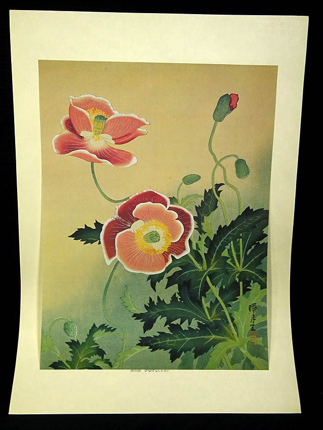 緑屋*南□y 画集本*瑞月草花画譜 池田瑞月 昭和53年 限定700部 美乃美
