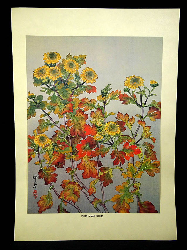 緑屋*南□y 画集本*瑞月草花画譜 池田瑞月 昭和53年 限定700部 美乃美