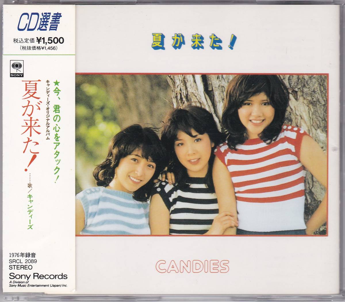 CD Bank Band 沿志奏逢 桜井和寿 Mr.Children【04164】