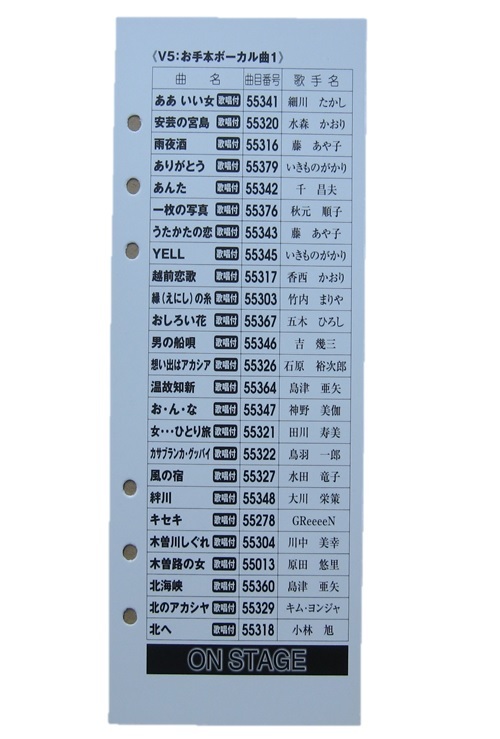 ON STAGE お家カラオケ ペアマイク 別売り曲チップ 3点セット PK-N