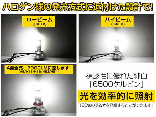 i-img1200x900-1772122141351362lgj7zv31