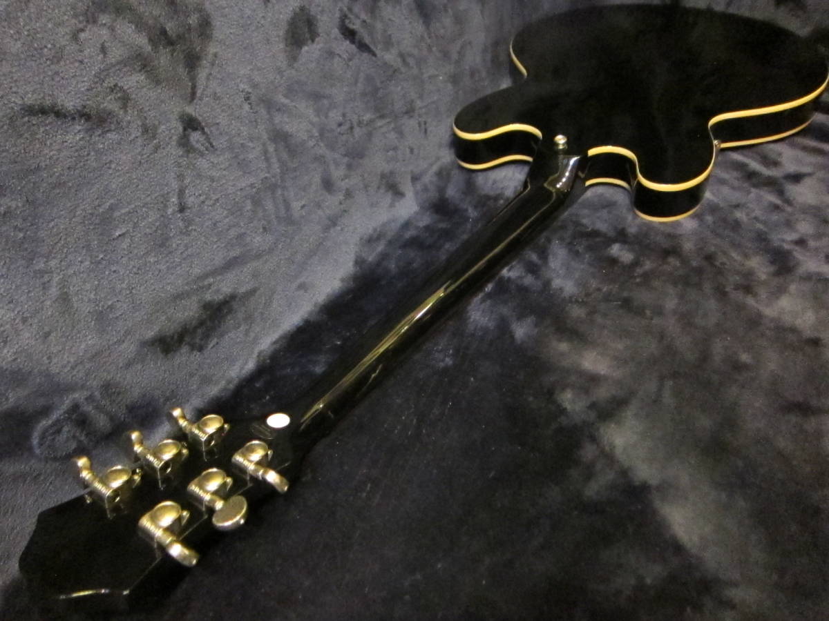 エピフォン Epiphone Dot セミアコギター セミアコースティックギター 