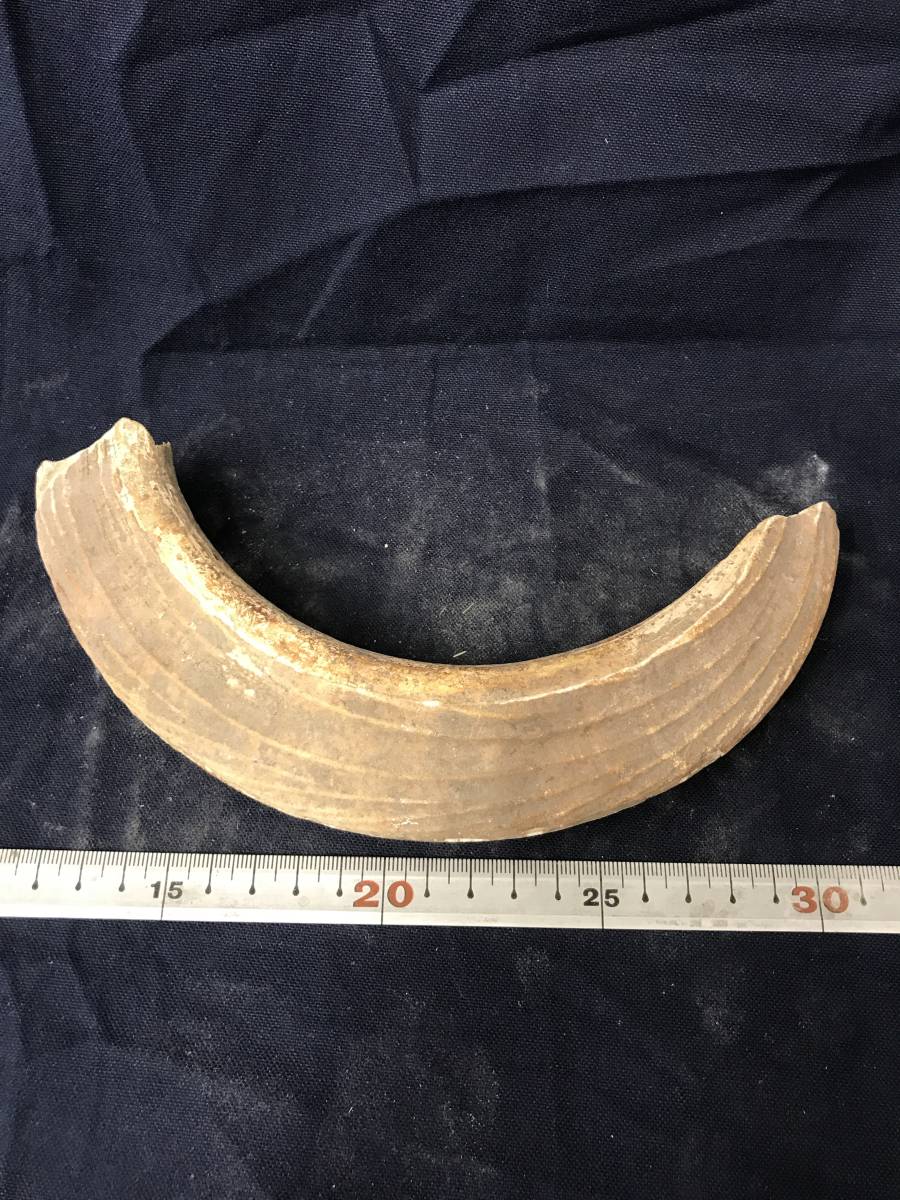 河馬 カバ牙286g漁具疑似餌ルアー彫刻根付