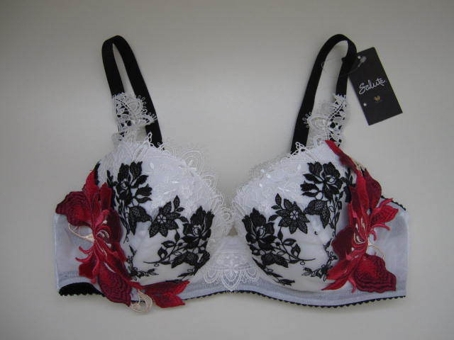 人気，セール ワコール サルート P-UP3/4カップブラ E75 BTJ493 WH 日本製 18AW新作(75)｜売買されたオークション情報、yahooの商品情報をアーカイブ公開 - オークファン Eカップ以上