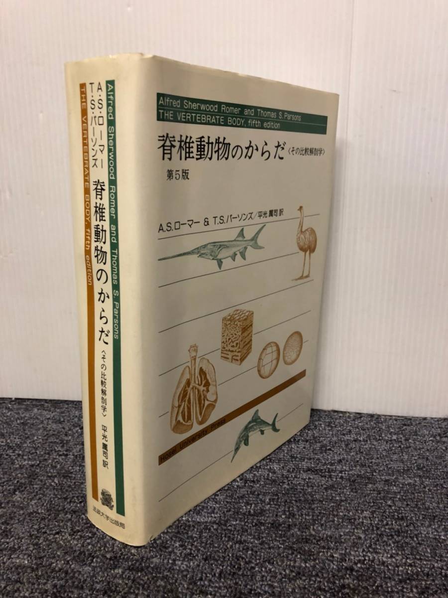 日本産トンボ幼虫・成虫検索図説 東海大学出版会 | TSUM1947.BY