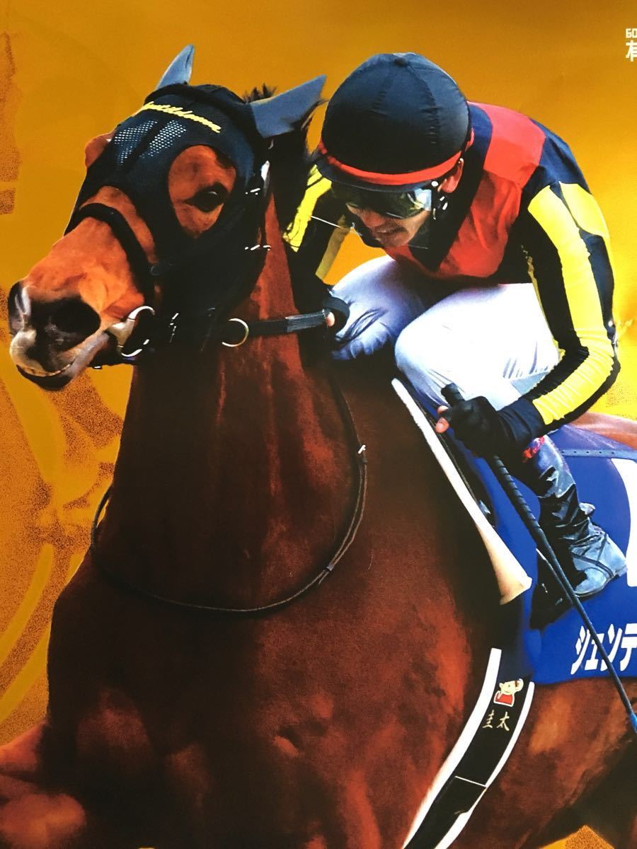 ジェンティルドンナ 有馬記念 ポスター JRA競馬_2