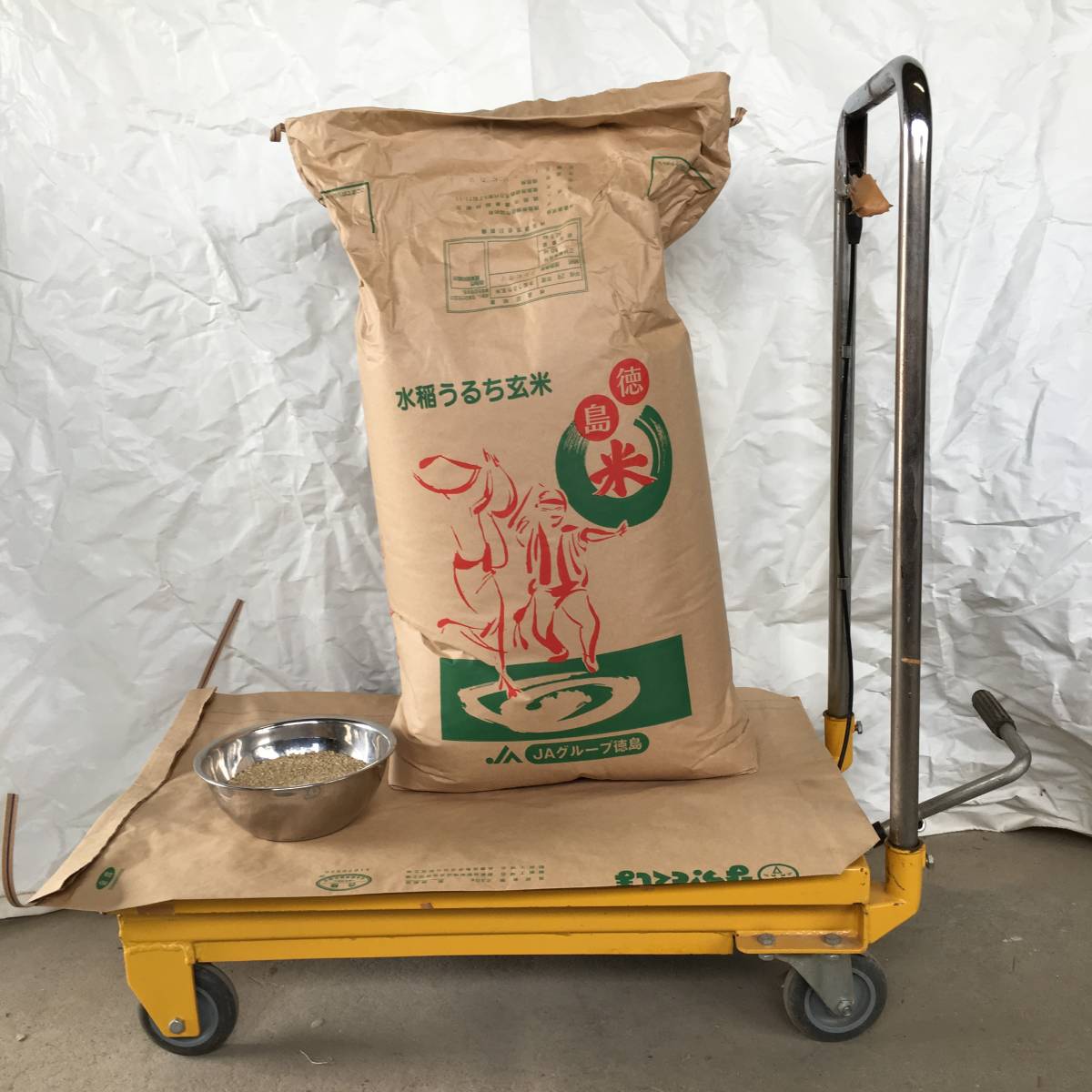 ☆平成29年度産 コシヒカリ 30㎏☆ 平成29年度 ファッション 新米