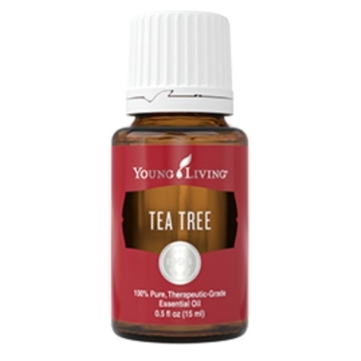 ティートゥリー ヤングリヴィング ティーツリー 15ml ヤングリビング