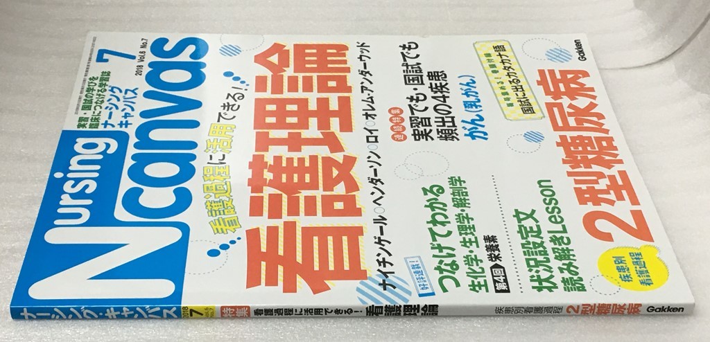 ナーシングキャンバス プチナース 持て囃さ