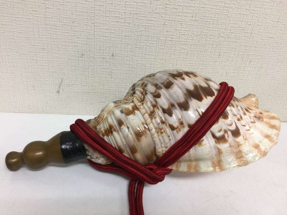 修験道法螺貝34㎝山伏 密教 魔除け 熊よけ❣️ほら貝 ホラガイ 特大