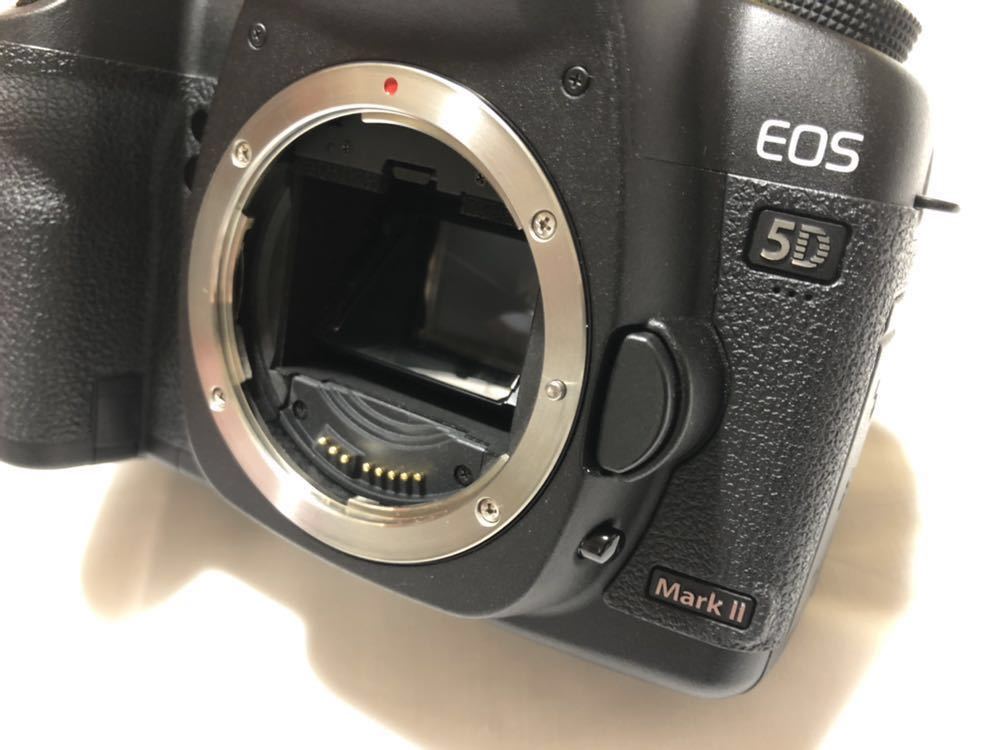 EOS Mark II 5D Canon ボディ シャッター回数約5500回以下 M1258-2P2