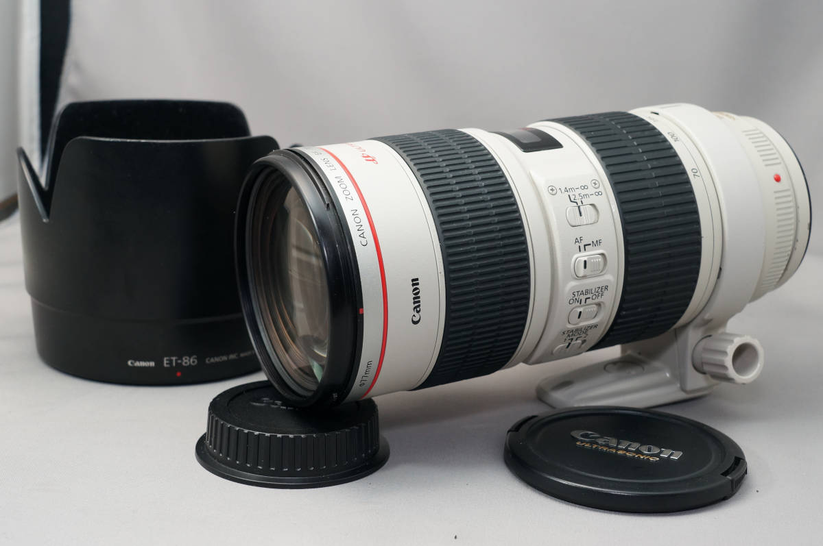 ⭐️キャノン Canon EF-S 18-200mm⭐️手ぶれ補正⭐️ Canon ズーム