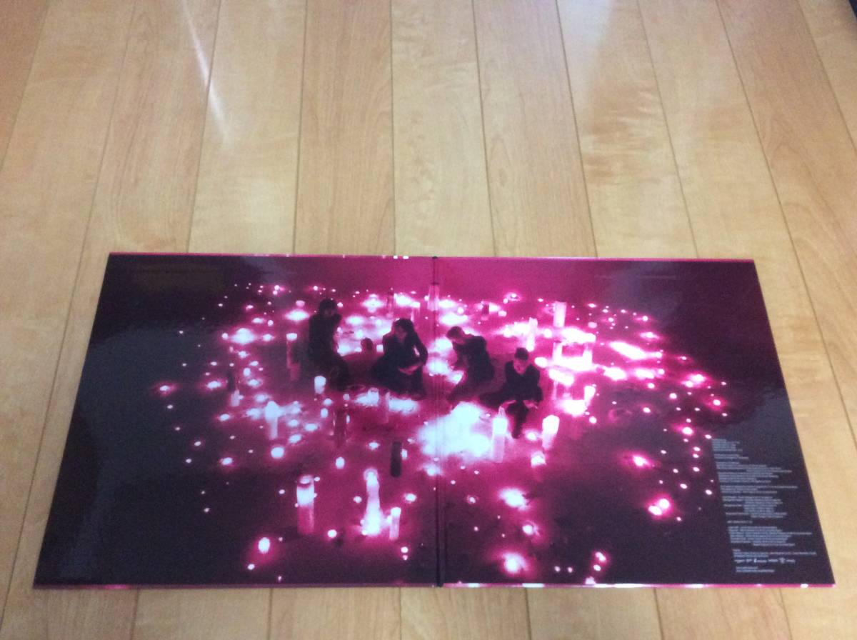 レア！THE BIRTHDAY 3rdALBUM 「NIGHT ON FOOL」2枚組アナログ盤 The