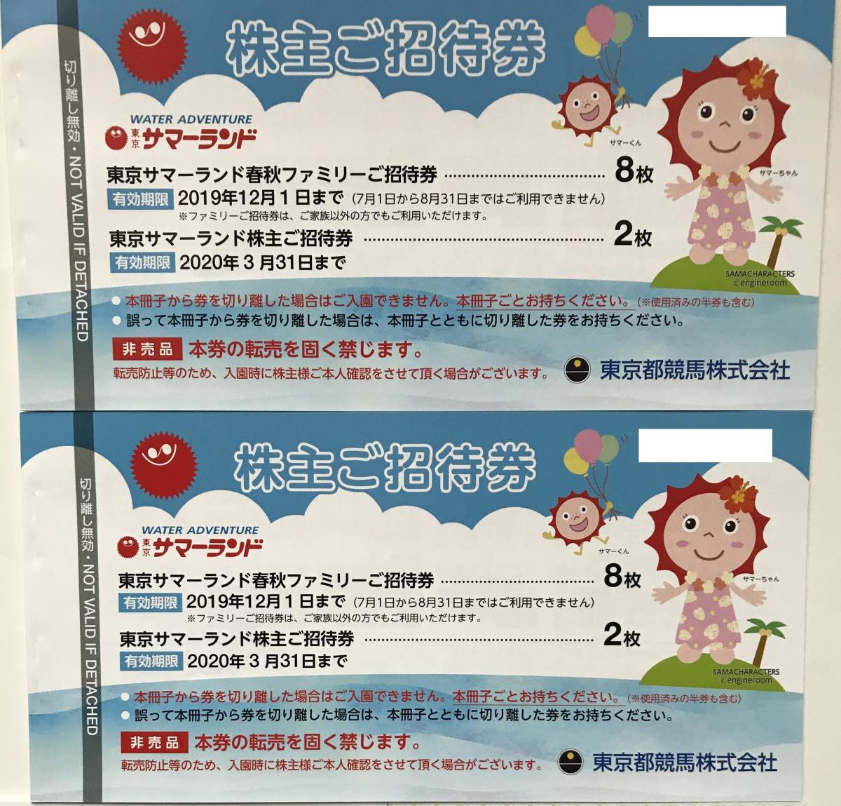 東京サマーランド株主優待 招待券8枚 施設利用券 ☆A 東京サマーランド