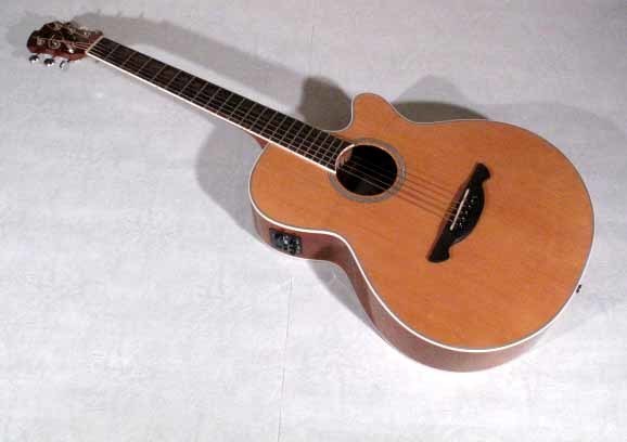 James JE450 アコースティックギター ジェームス エレアコ なすゆこ美