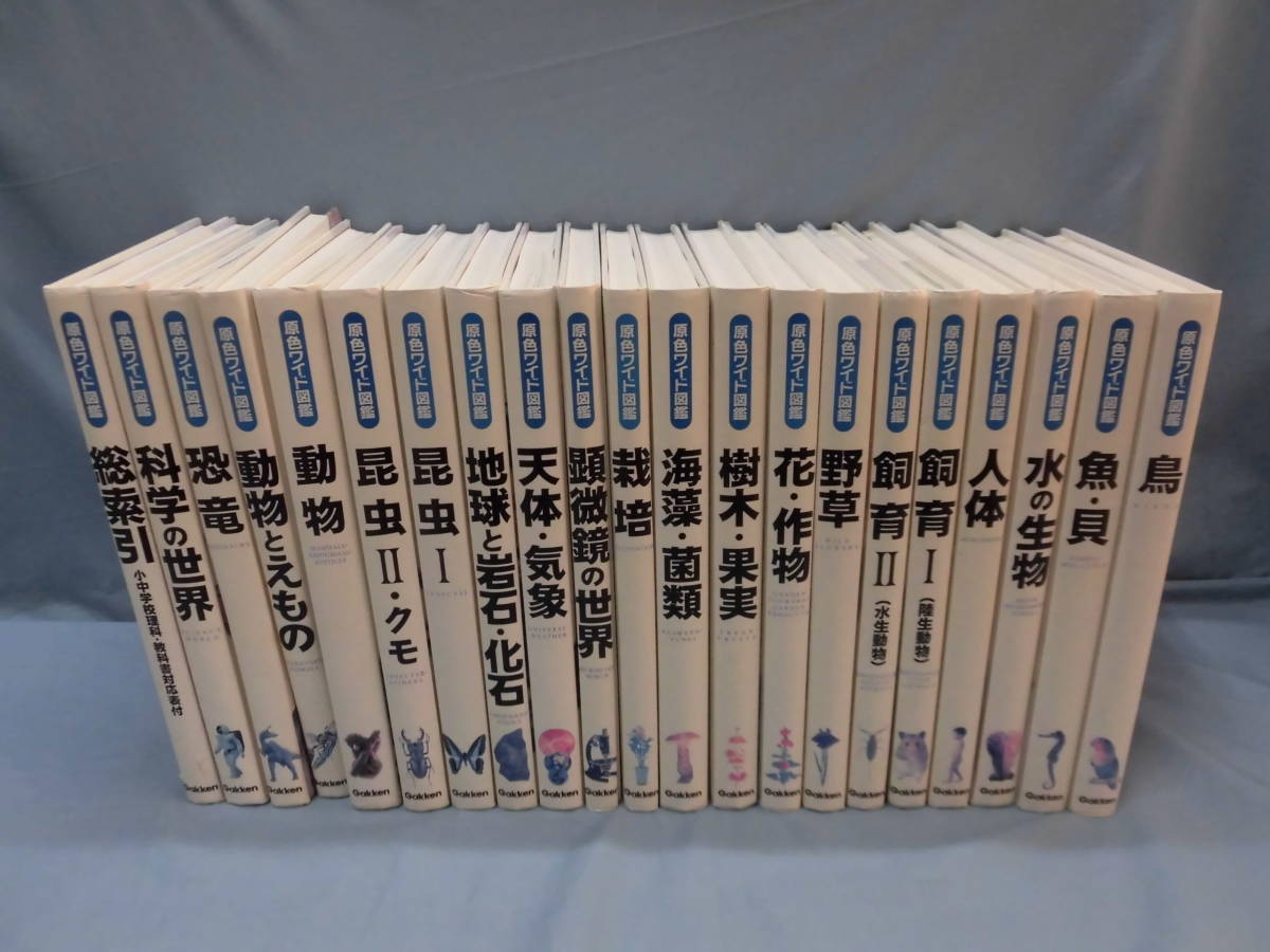 本 学研 原色ワイド図鑑 全20巻+総索引