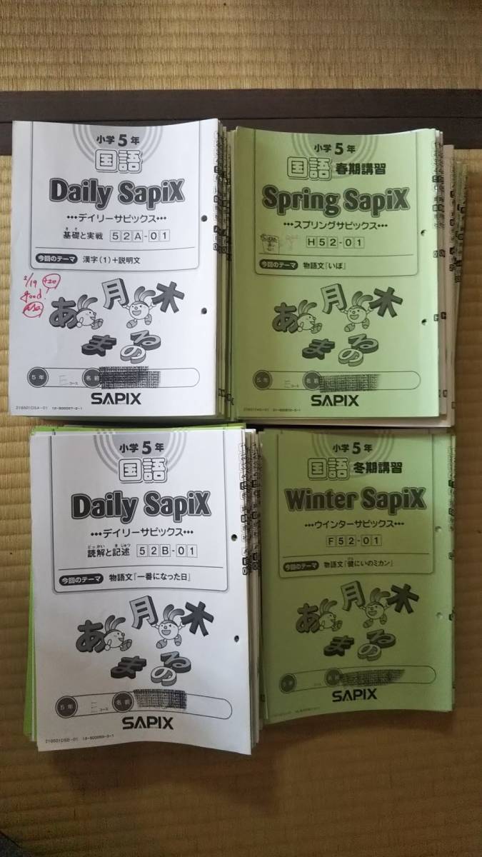 ⑲ SAPIX サピックス 1年生 算数・国語・りか ディリーサピックス
