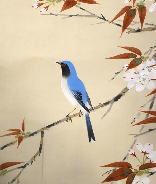 Yahoo!オークション 「日本画 桜」花鳥、鳥獣 (日本画) の落札 掛軸