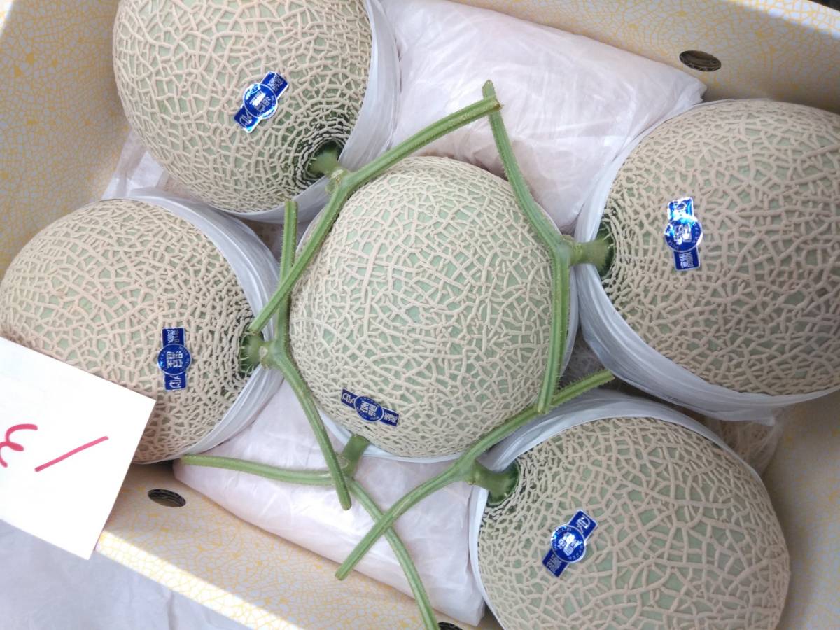 食品 幸*太様 高知産 約10kg 贈答用 5玉 大玉マスクメロン 秀品