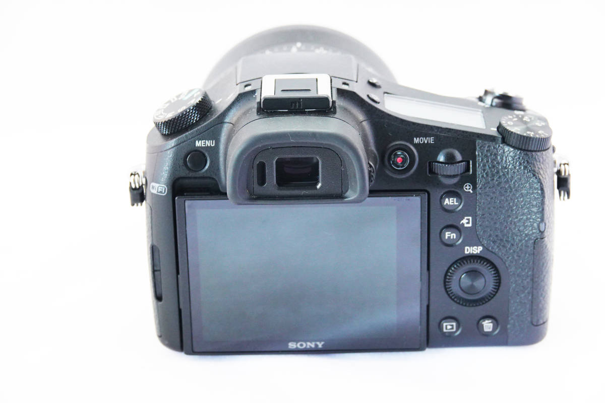 Sony Cyber-shot RX10 | DSC-RX10 : com Camera IV Review: the Cyber 