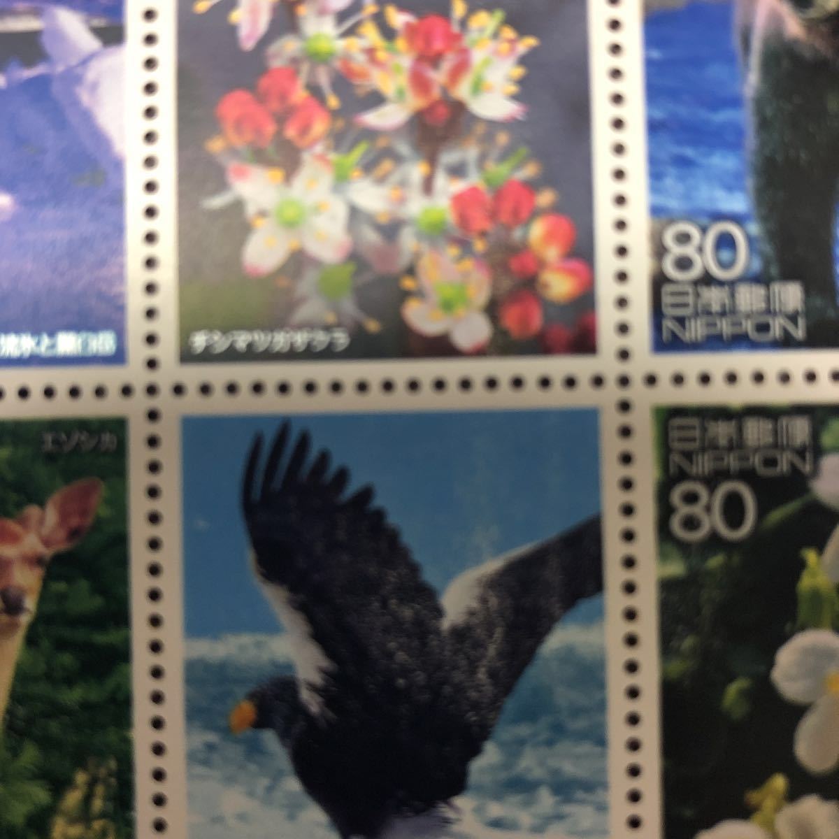 世界遺産 第3集 知床 切手シート_5