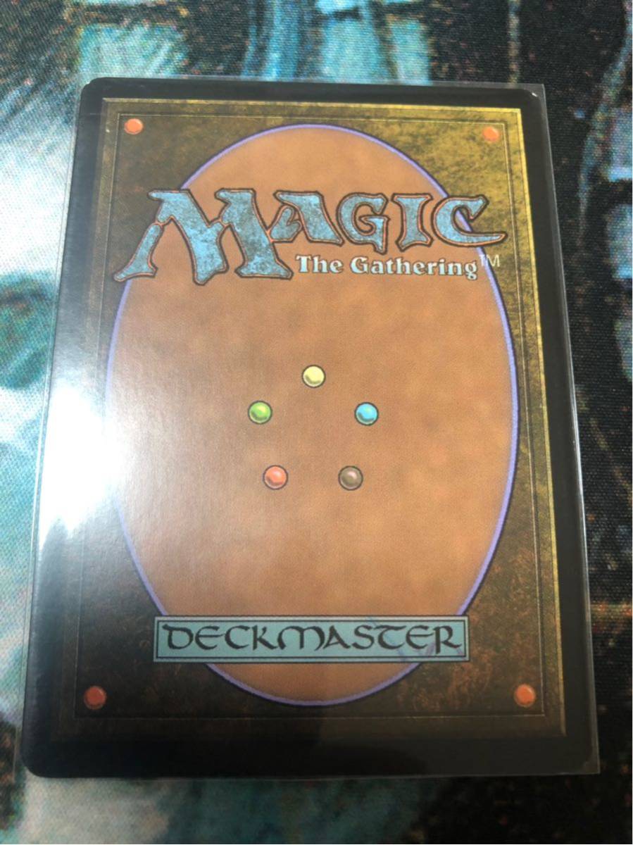 MTG 貴族の教主/Noble Hierarch 英語 foil ジャッジ褒賞 MTG 貴族の