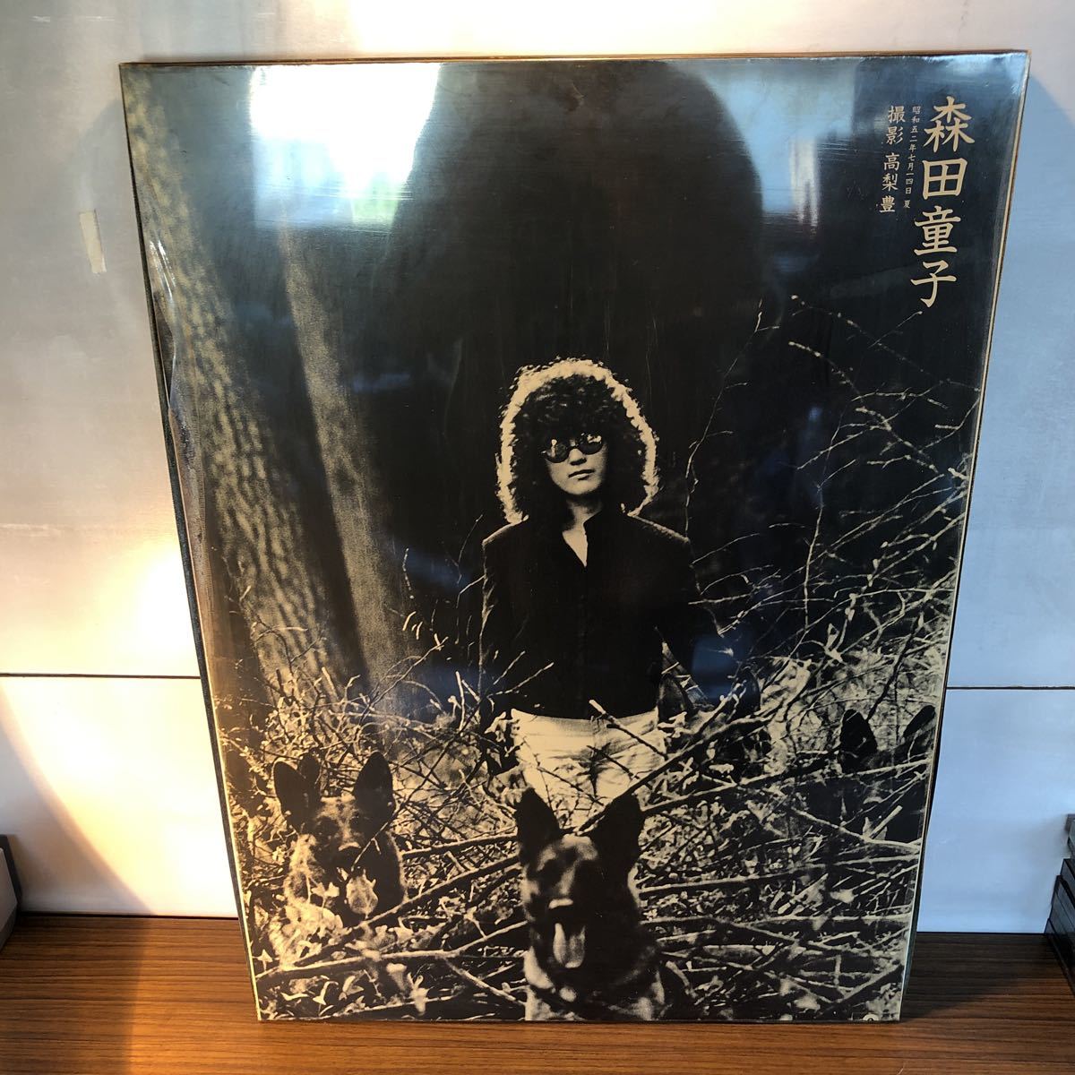 新作，セール 昭和52年 当時 森田童子 パネルポスター(ミュージシャン)｜売買されたオークション情報、yahooの商品情報をアーカイブ公開 - オークファン ミュージシャン