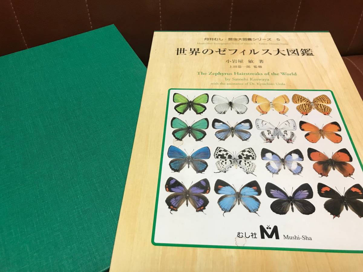 世界のゼフィルス大図鑑 (月刊むし・昆虫大図鑑シリーズ 5) 【公式通販】